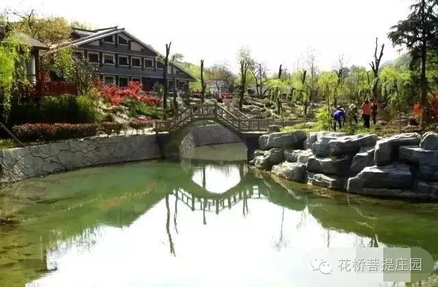 這個周末，隴南康縣花橋有大事要發(fā)生？